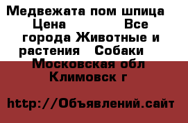 Медвежата пом шпица › Цена ­ 40 000 - Все города Животные и растения » Собаки   . Московская обл.,Климовск г.